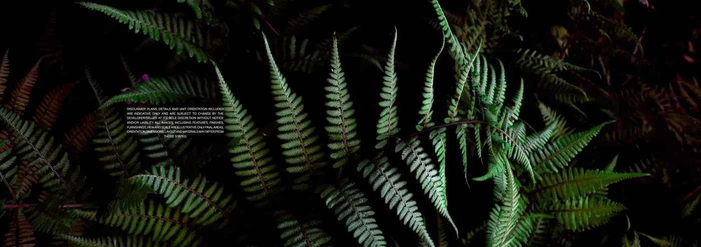 Fern Central Park — визуализация