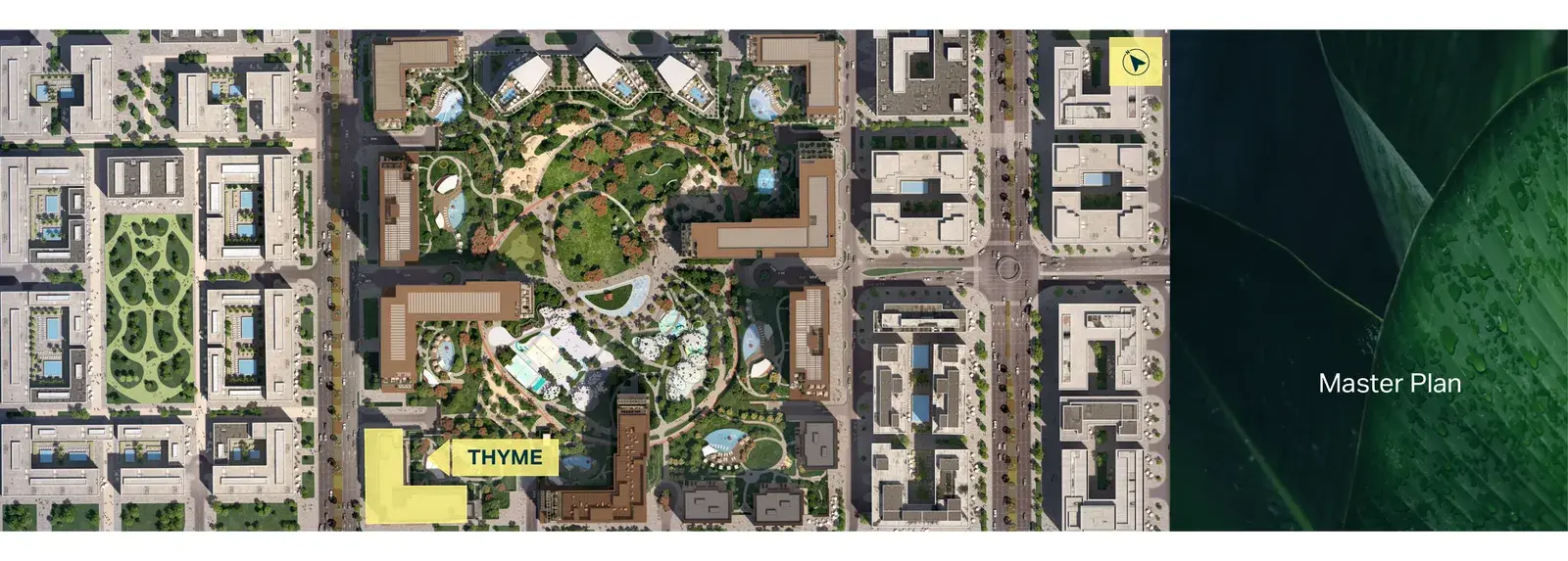 Thyme Central Park — мастер-план проекта