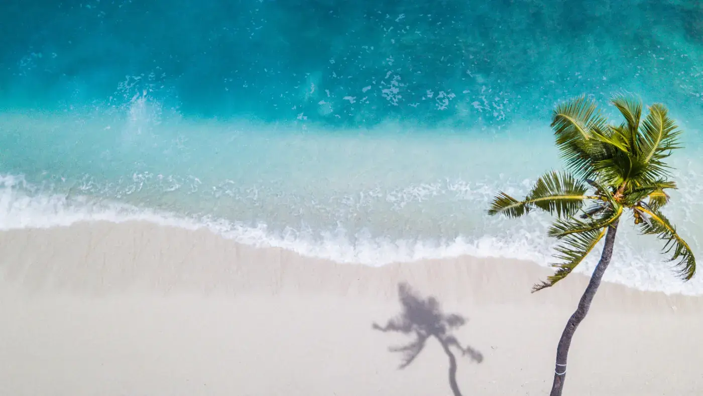 Vida Residences Creek Beach
