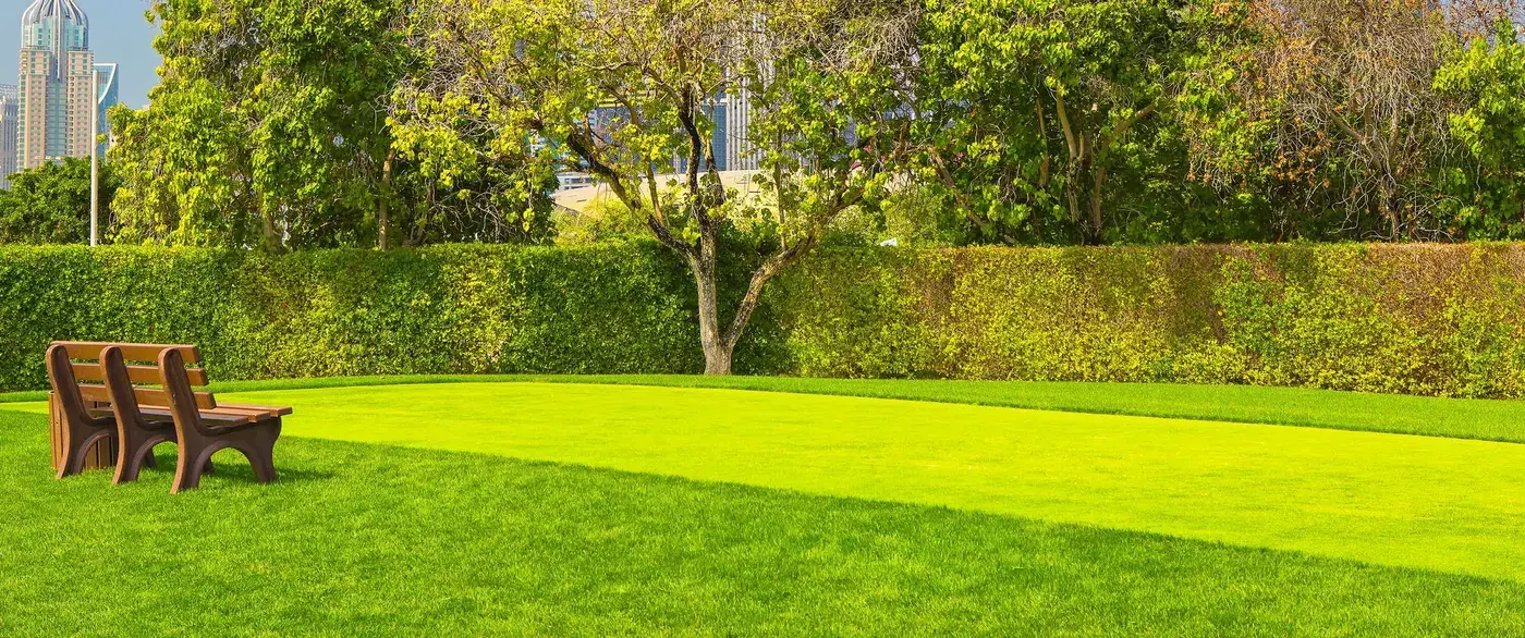 Zazen Gardens