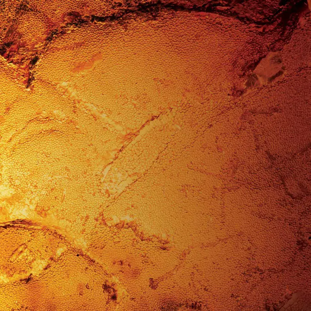 Binghatti Amberhall
