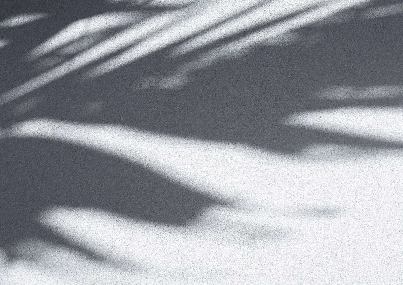Zazen Gardens